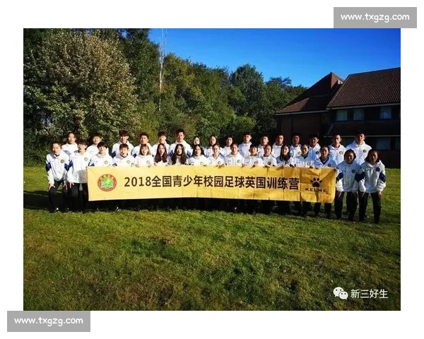 以系统化足球训练计划提升青少年竞技能力与团队素养路径研究